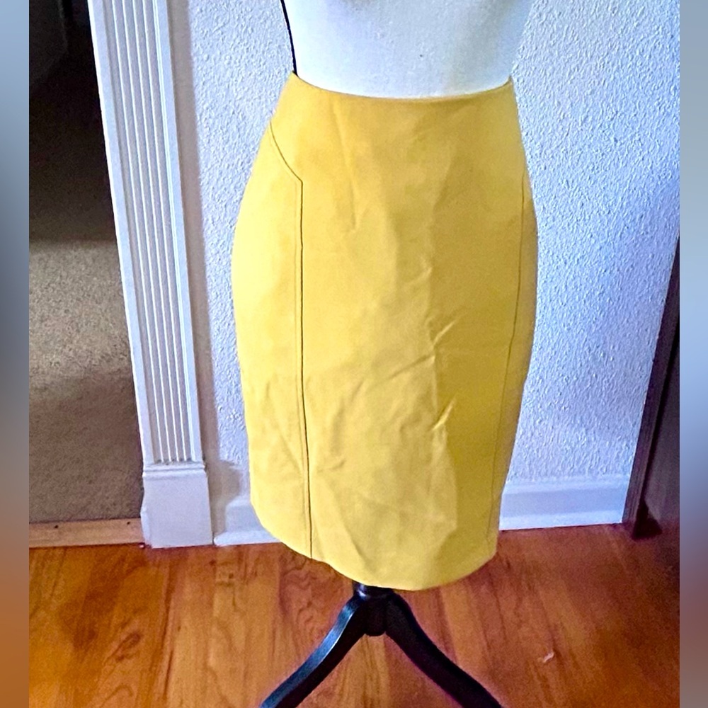 BNWOT: Halogen pencil skirt
